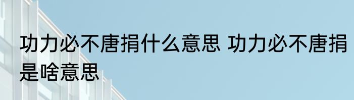 功力必不唐捐什么意思 功力必不唐捐是啥意思