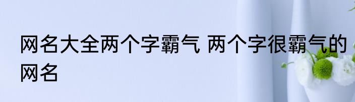 网名大全两个字霸气 两个字很霸气的网名