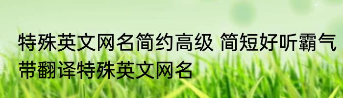 特殊英文网名简约高级 简短好听霸气带翻译特殊英文网名