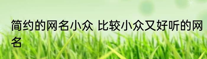 简约的网名小众 比较小众又好听的网名