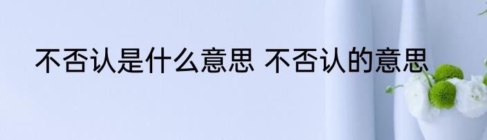 不否认是什么意思 不否认的意思