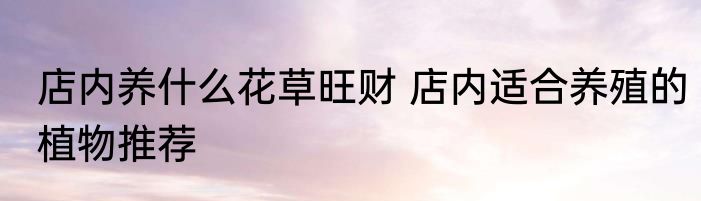 店内养什么花草旺财 店内适合养殖的植物推荐