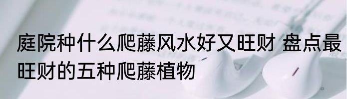 庭院种什么爬藤风水好又旺财 盘点最旺财的五种爬藤植物