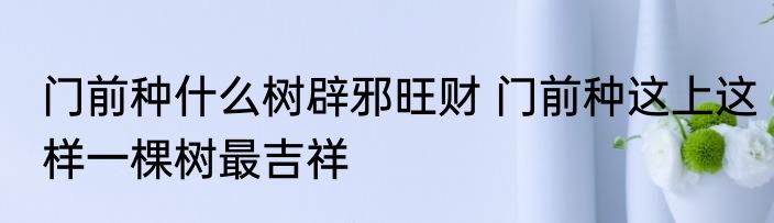 门前种什么树辟邪旺财 门前种这上这样一棵树最吉祥