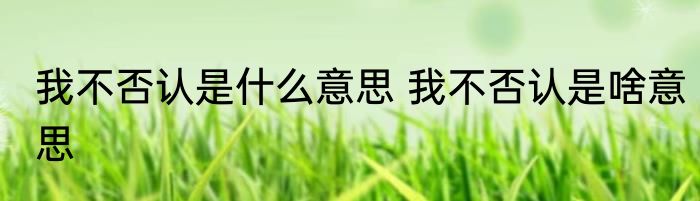 我不否认是什么意思 我不否认是啥意思