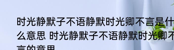 时光静默子不语静默时光卿不言是什么意思 时光静默子不语静默时光卿不言的意思