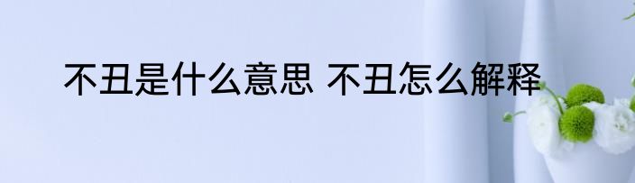 不丑是什么意思 不丑怎么解释