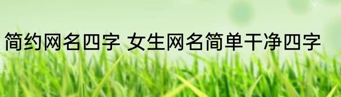 简约网名四字 女生网名简单干净四字