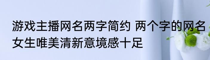 游戏主播网名两字简约 两个字的网名女生唯美清新意境感十足