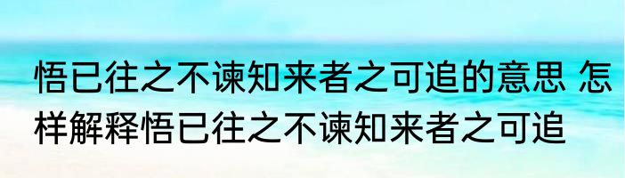 悟已往之不谏知来者之可追的意思 怎样解释悟已往之不谏知来者之可追