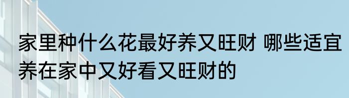 家里种什么花最好养又旺财 哪些适宜养在家中又好看又旺财的