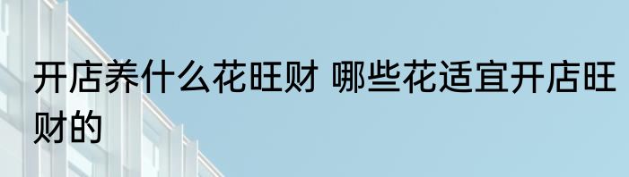 开店养什么花旺财 哪些花适宜开店旺财的