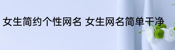 女生简约个性网名 女生网名简单干净