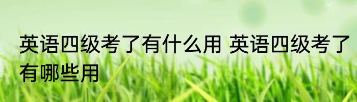 英语四级考了有什么用 英语四级考了有哪些用