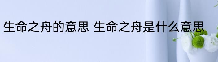 生命之舟的意思 生命之舟是什么意思