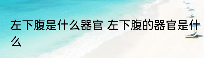 左下腹是什么器官 左下腹的器官是什么