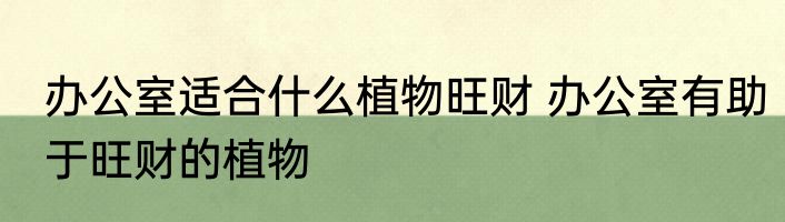办公室适合什么植物旺财 办公室有助于旺财的植物