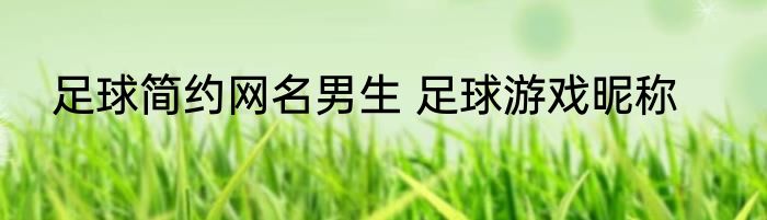 足球简约网名男生 足球游戏昵称