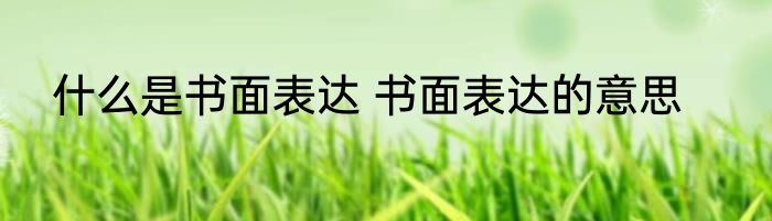 什么是书面表达 书面表达的意思