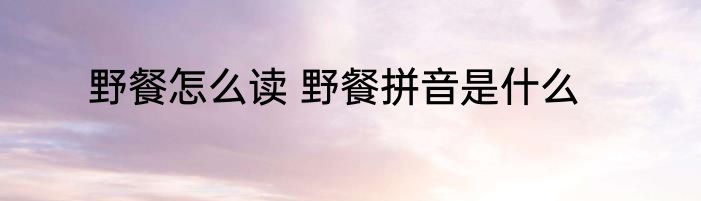 野餐怎么读 野餐拼音是什么