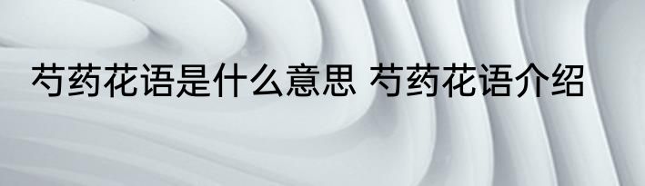 芍药花语是什么意思 芍药花语介绍