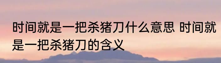 时间就是一把杀猪刀什么意思 时间就是一把杀猪刀的含义