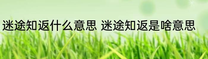 迷途知返什么意思 迷途知返是啥意思