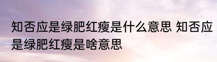 知否应是绿肥红瘦是什么意思 知否应是绿肥红瘦是啥意思
