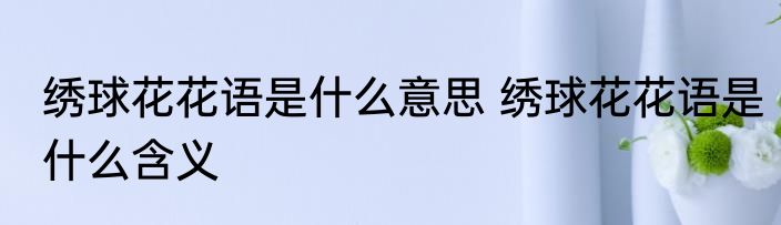 绣球花花语是什么意思 绣球花花语是什么含义
