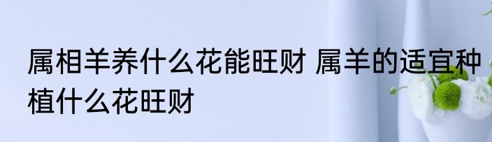属相羊养什么花能旺财 属羊的适宜种植什么花旺财