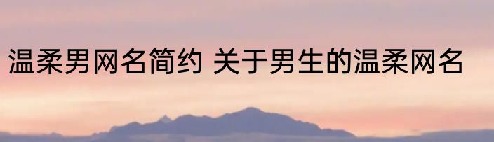 温柔男网名简约 关于男生的温柔网名