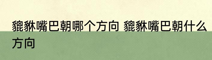貔貅嘴巴朝哪个方向 貔貅嘴巴朝什么方向