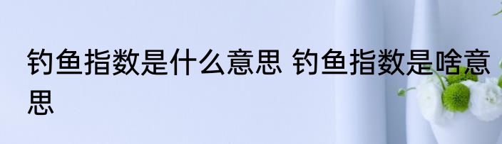 钓鱼指数是什么意思 钓鱼指数是啥意思