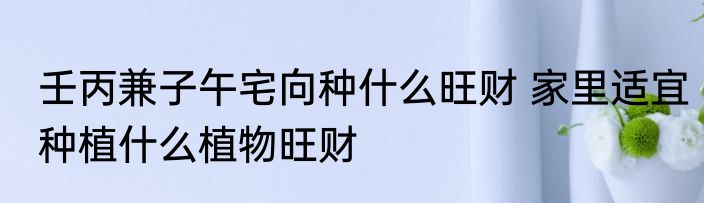 壬丙兼子午宅向种什么旺财 家里适宜种植什么植物旺财