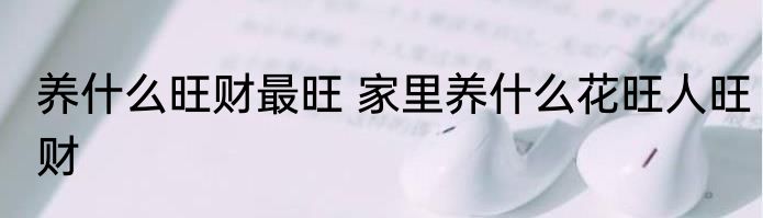 养什么旺财最旺 家里养什么花旺人旺财