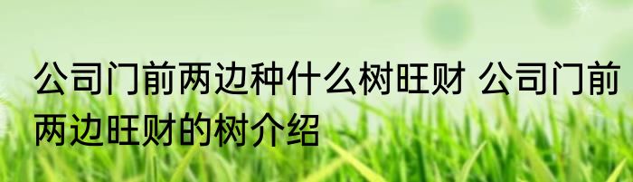 公司门前两边种什么树旺财 公司门前两边旺财的树介绍