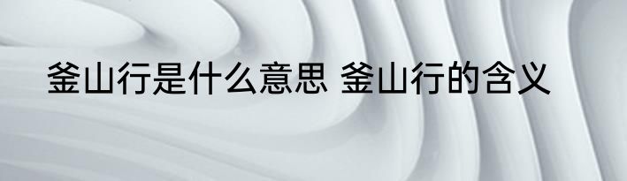 釜山行是什么意思 釜山行的含义