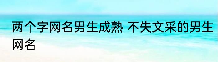 两个字网名男生成熟 不失文采的男生网名
