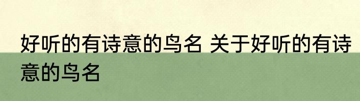 好听的有诗意的鸟名 关于好听的有诗意的鸟名