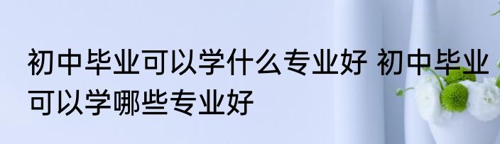 初中毕业可以学什么专业好 初中毕业可以学哪些专业好