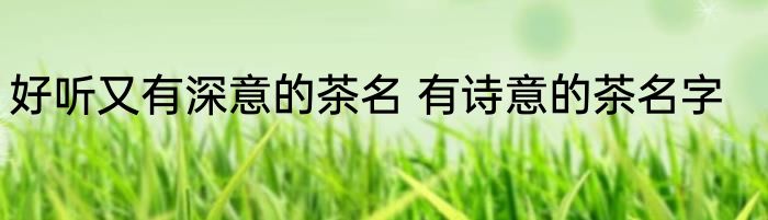 好听又有深意的茶名 有诗意的茶名字