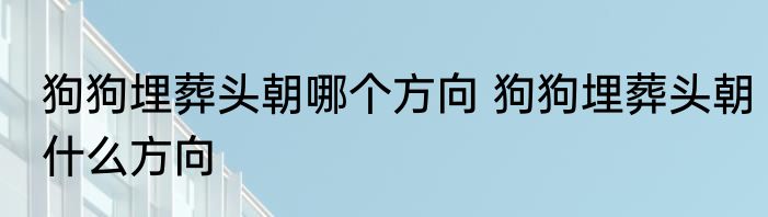 狗狗埋葬头朝哪个方向 狗狗埋葬头朝什么方向