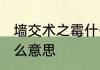 墙交术之霉什么意思 墙角数枝梅是什么意思