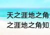 天之涯地之角知交半零落什么意思 天之涯地之角知交半零落的解释