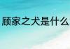 顾家之犬是什么意思 顾家之犬的意思