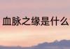 血脉之缘是什么意思 血脉之缘的意思