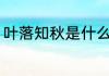 叶落知秋是什么意思 叶落知秋的意思