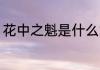 花中之魁是什么意思 花中之魁的含义