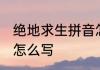 绝地求生拼音怎么打 绝地求生的拼音怎么写