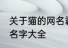 关于猫的网名霸气 适合猫的超拽霸气名字大全